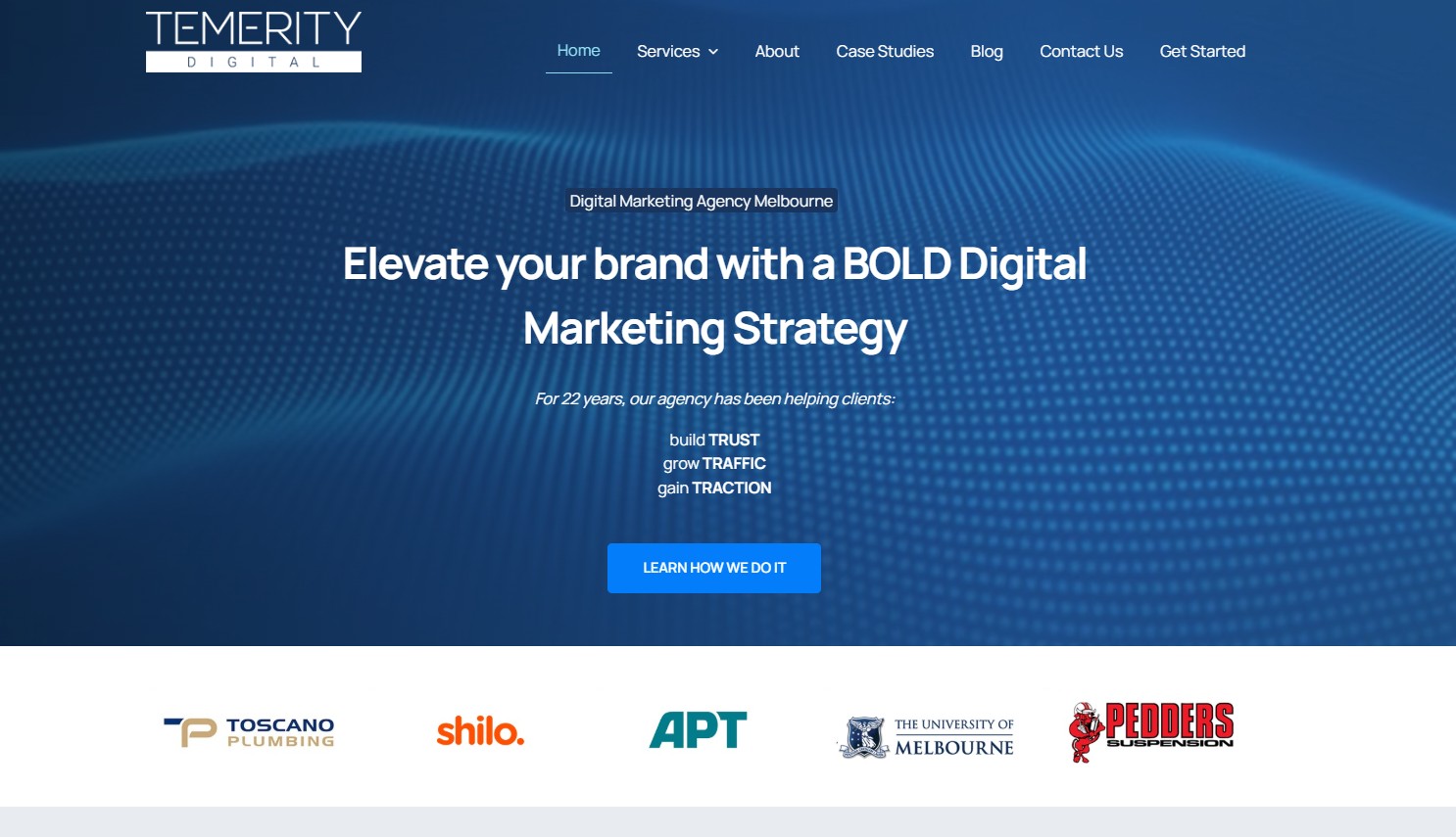 temerity digital website 2025