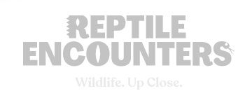 digital marketing agency for reptile encounters