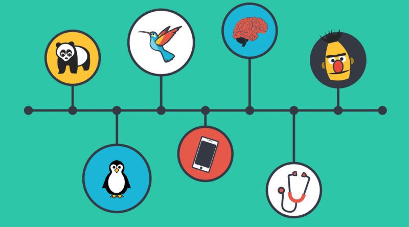What is a Google Algorithm update - Temerity Digital