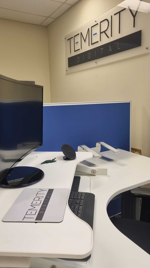 temerity seo for AI strategy temerity seo for AI strategy