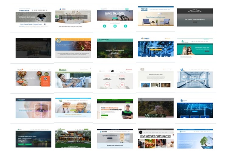 managing multiple WordPress websites